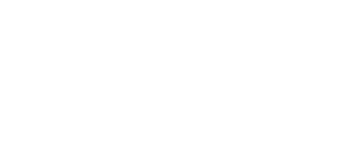 FREE INITIATIVE logo